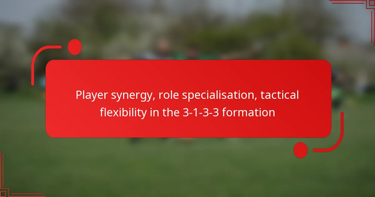 Player synergy, role specialisation, tactical flexibility in the 3-1-3-3 formation