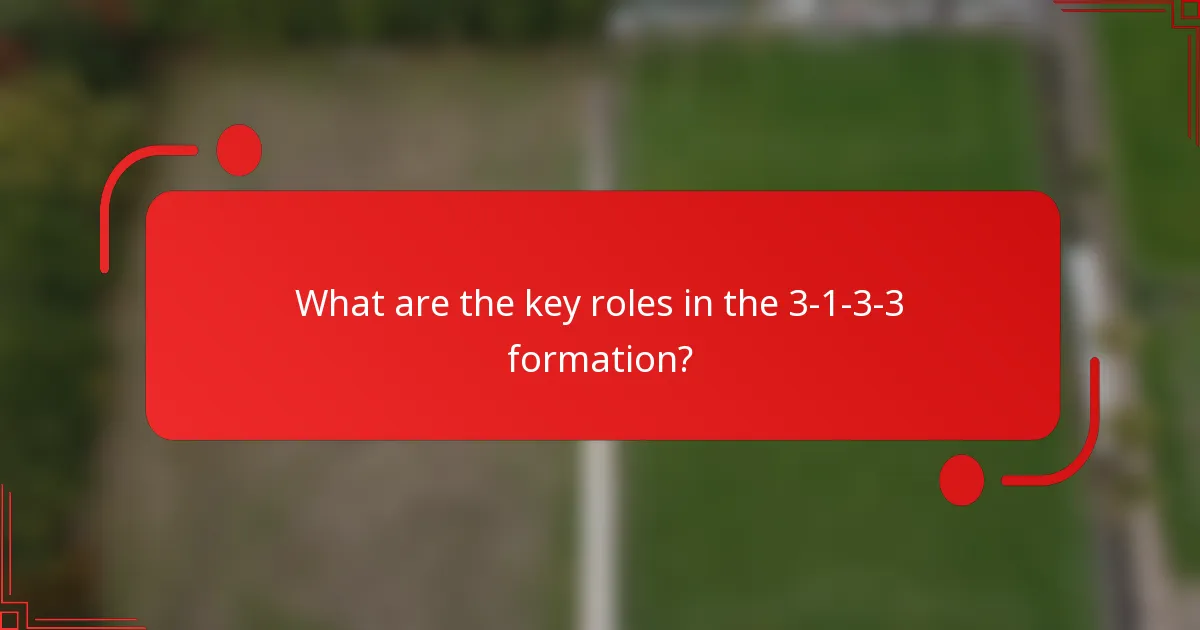 What are the key roles in the 3-1-3-3 formation?